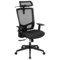Emma and Oliver Ergonomic Mesh Office Chair-Synchro-Tilt, Pivot Headrest, Adjustable Arms